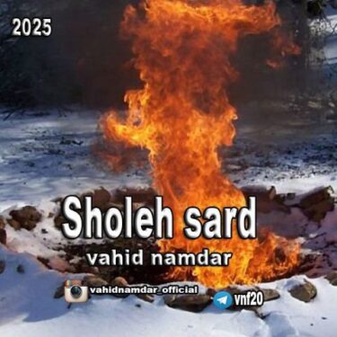 دانلود آهنگ جدید وحید نامدار شعله سرد